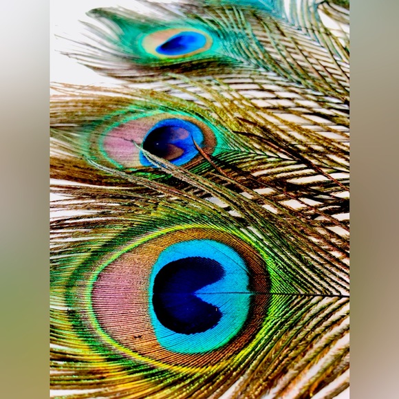 Eye mask costume Carnevale,Masquerade Embellished eye mask feathers Madi Gras OS - Picture 10 of 13